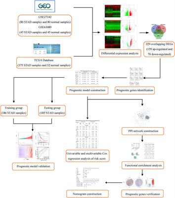 Development and Validation of a Novel Prognosis Prediction Model for Patients With Stomach Adenocarcinoma